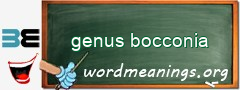 WordMeaning blackboard for genus bocconia